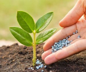 добрива добрива