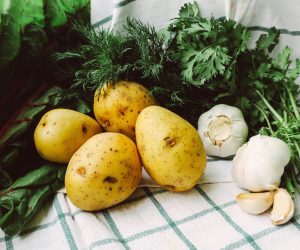 посадковий1 посадковий1